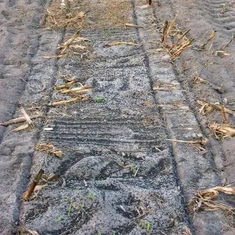 thumbnail for publication: Florida Biosolids: Management and Land Application Rules